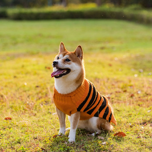 Pet Dog Halloween Cosplay Warm Sweater