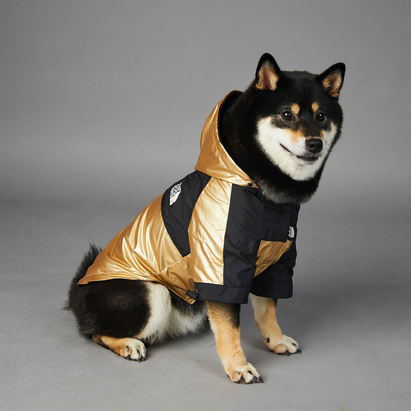 Pet Dog Large Raincoat Jacket - Cocoa Paws Collective