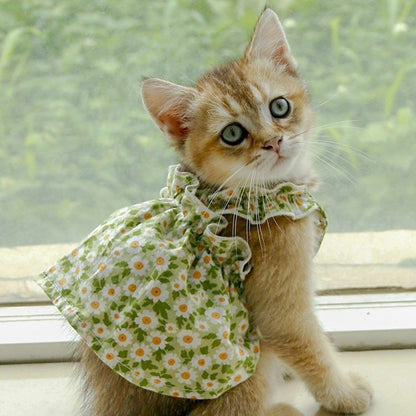 Pet Fashion Spring Floral Mini Frock - Cocoa Paws Collective