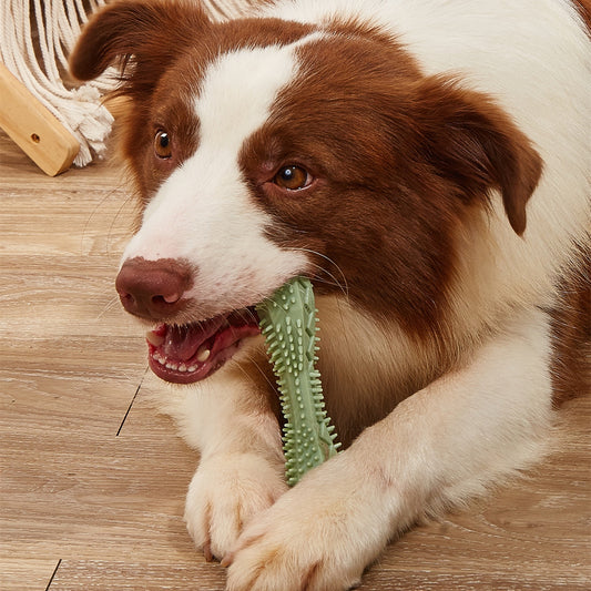 Pet Chewing Bite Resistant Teething Toy