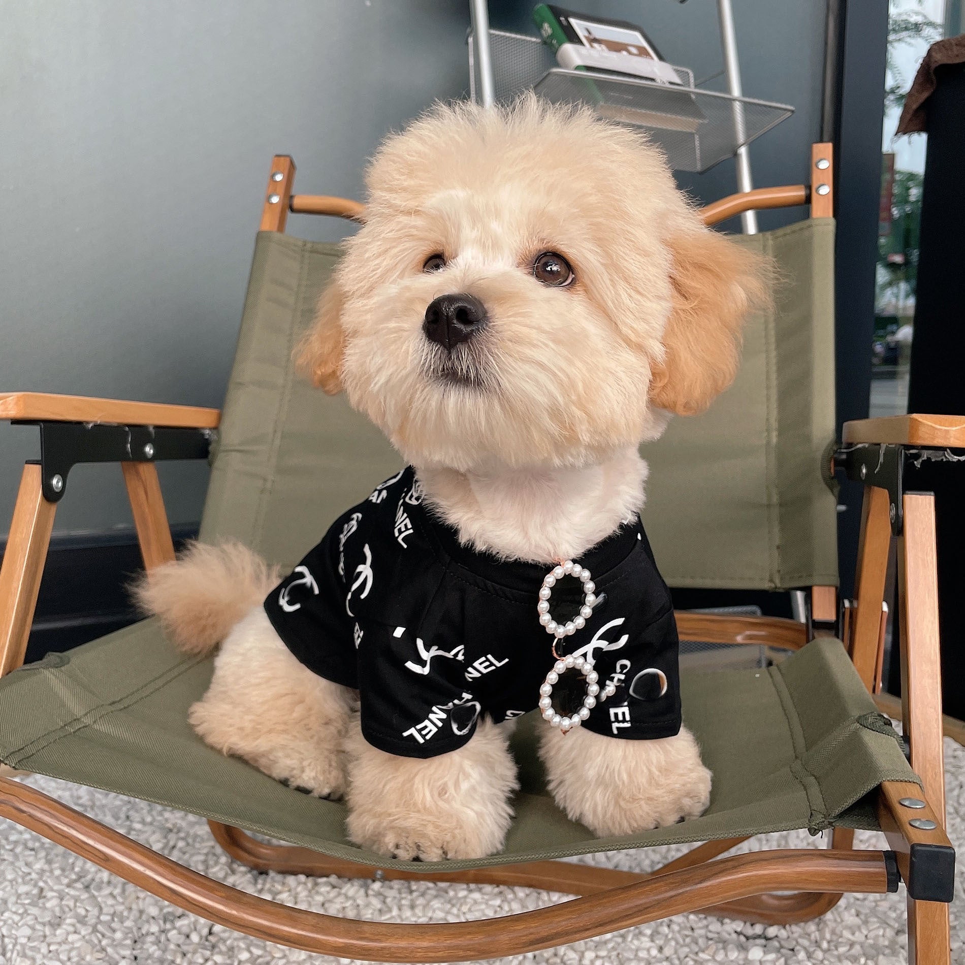 Pet Cute Pearl Sunglasses - Cocoa Paws Collective