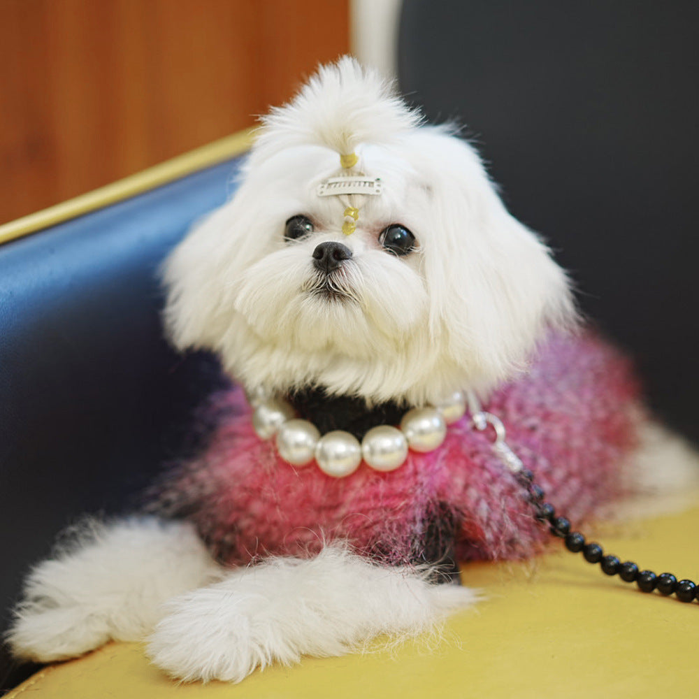 Pet Dog Collar Leash Necklace - Cocoa Paws Collective