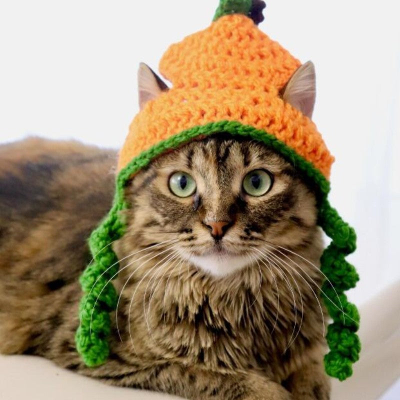 Halloween Cat Dog Knitted Pet Hat - Cocoa Paws Collective