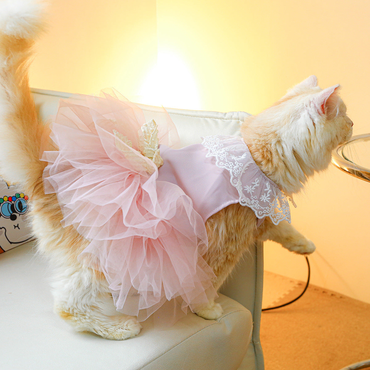 Pet Cat Lace Clothing Suit - Cocoa Paws Collective