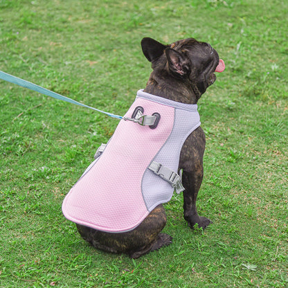 Summer Pet Outdoor Breathable Cooling Vest - Cocoa Paws Collective