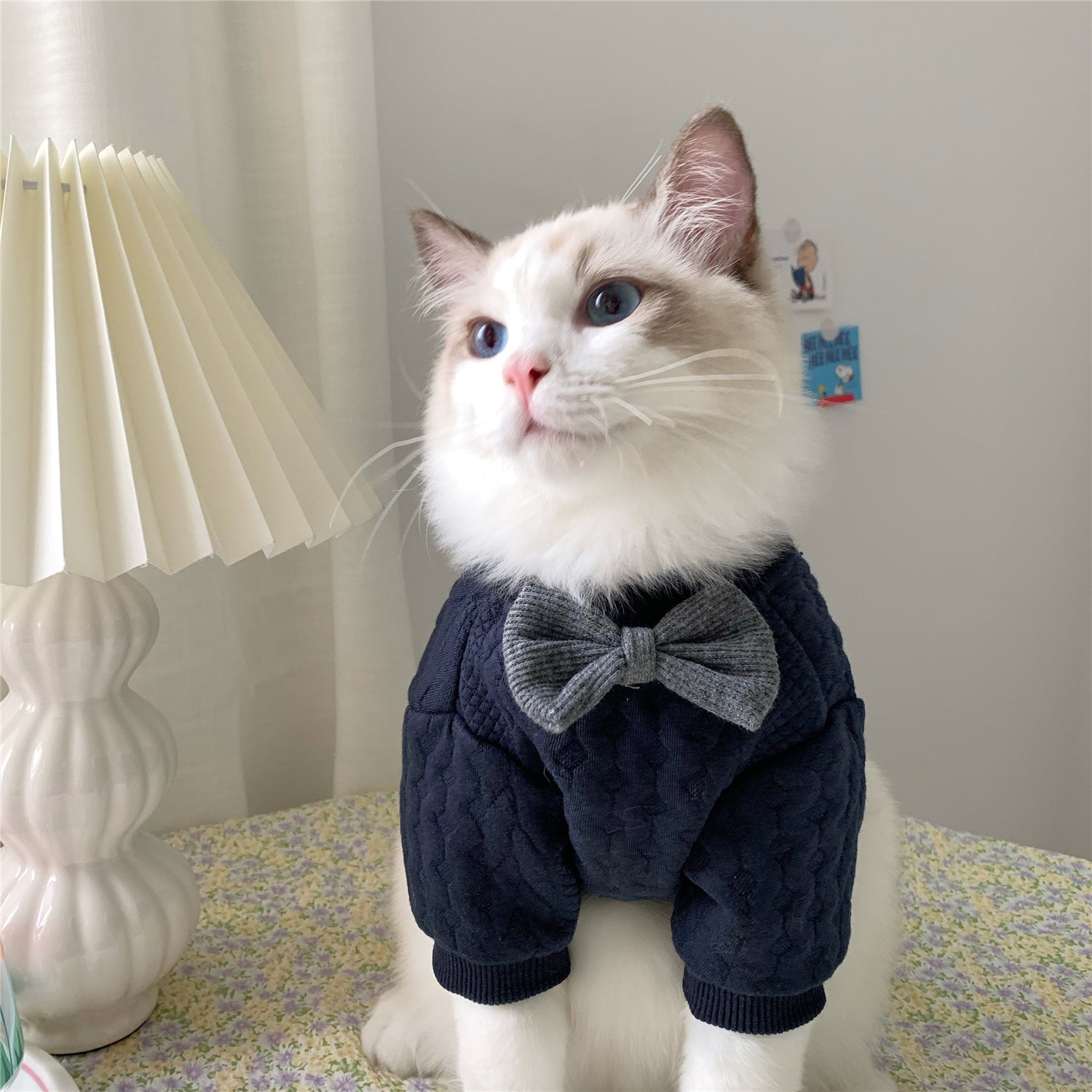 Elegant VIntage Pet Bow Sweater - Cocoa Paws Collective