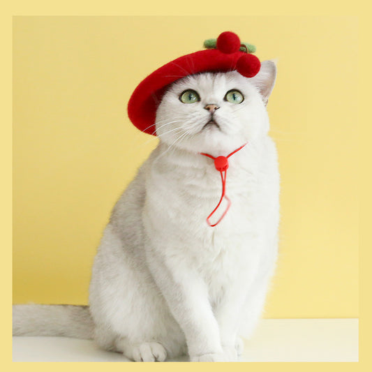 Pet Cat Wool Painter Bud Hat
