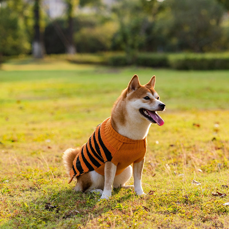 Pet Dog Halloween Cosplay Warm Sweater - Cocoa Paws Collective
