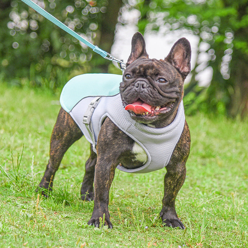 Summer Pet Outdoor Breathable Cooling Vest - Cocoa Paws Collective