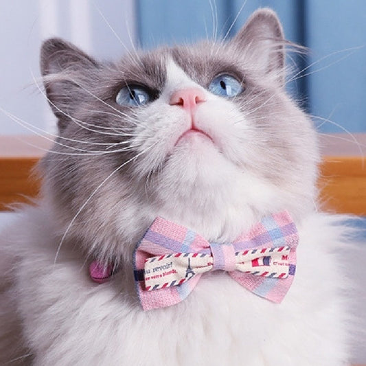 Cute Pet Collar Necklace with Bell