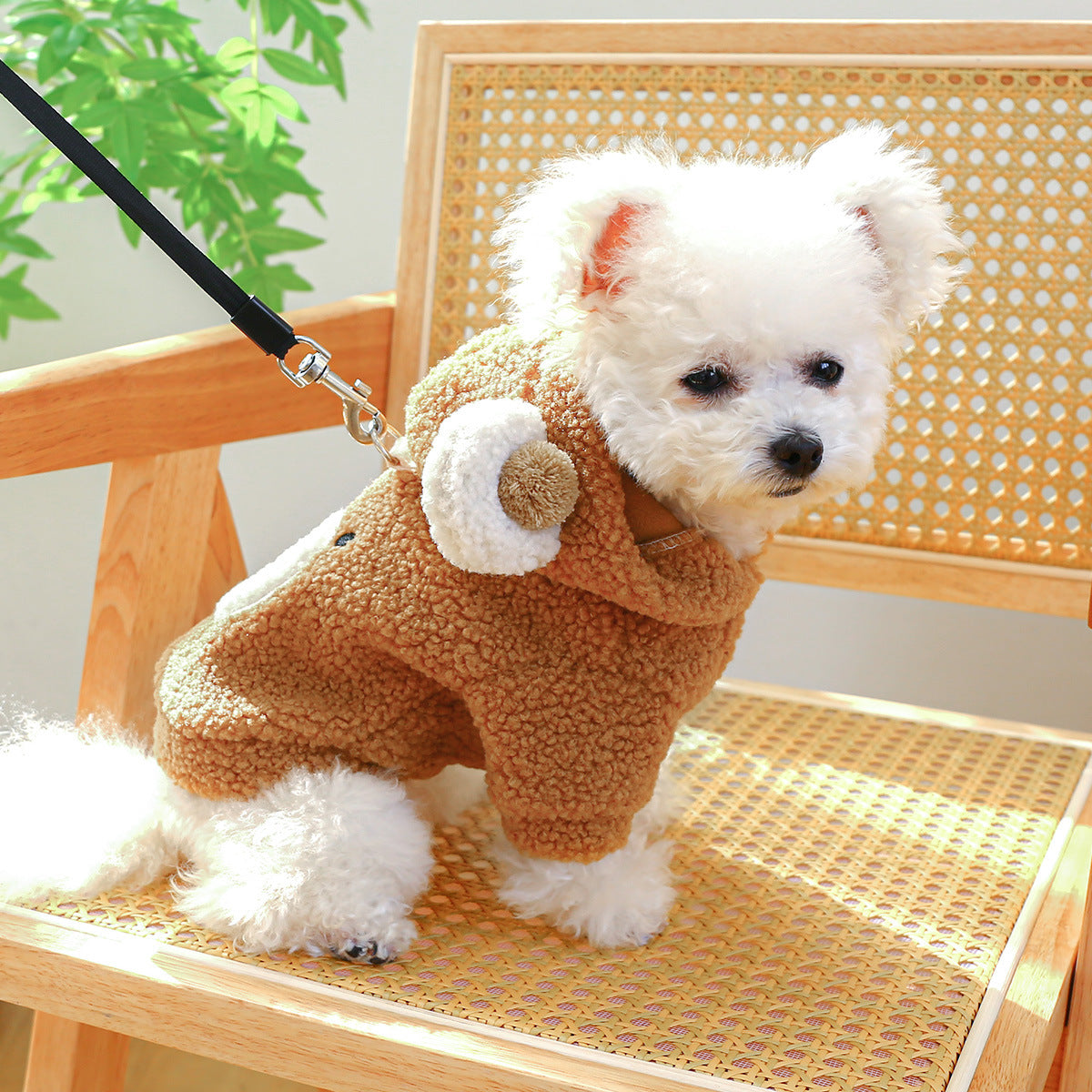 Pet Comfortable Lambswool Round Bear Hoodie - Cocoa Paws Collective
