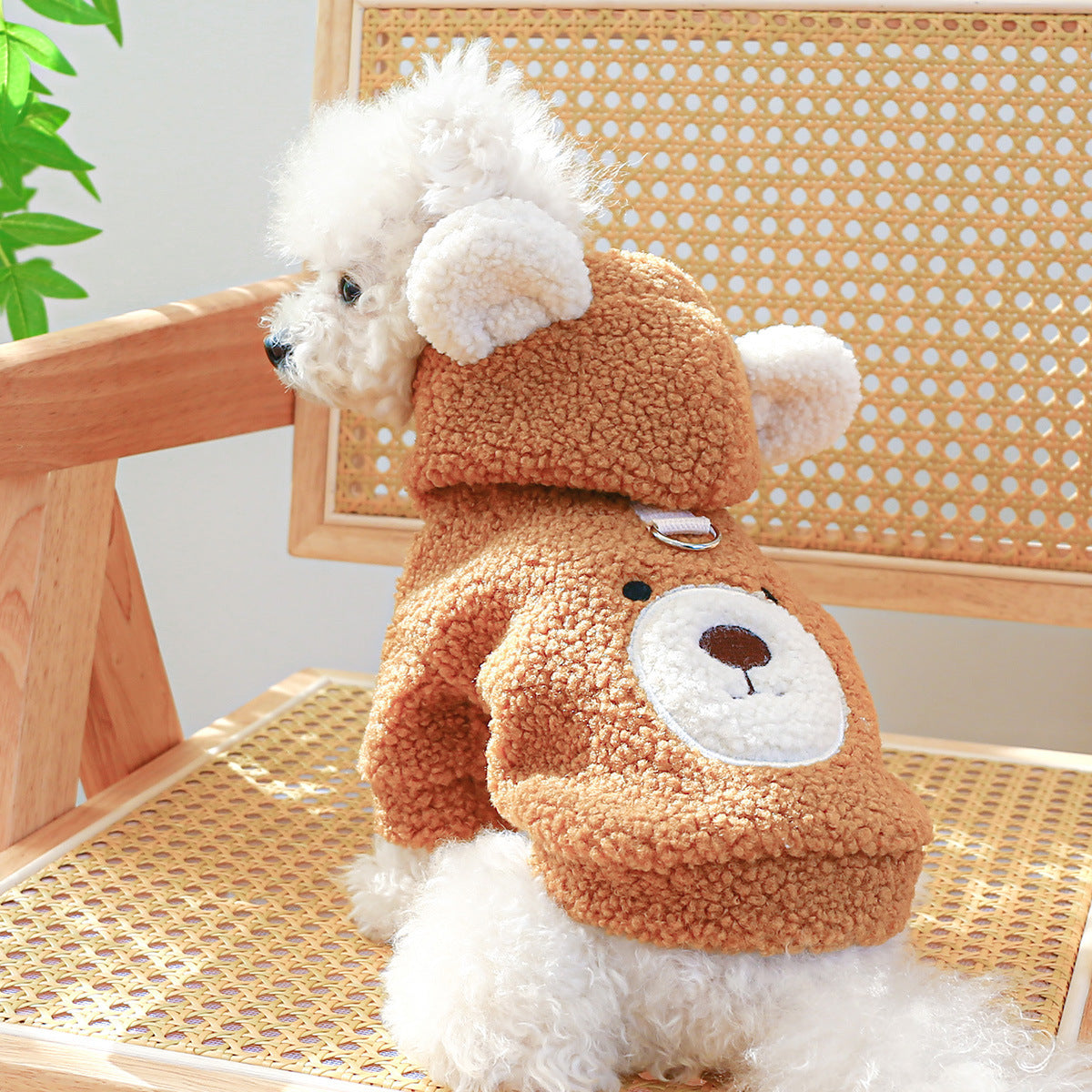 Pet Comfortable Lambswool Round Bear Hoodie - Cocoa Paws Collective