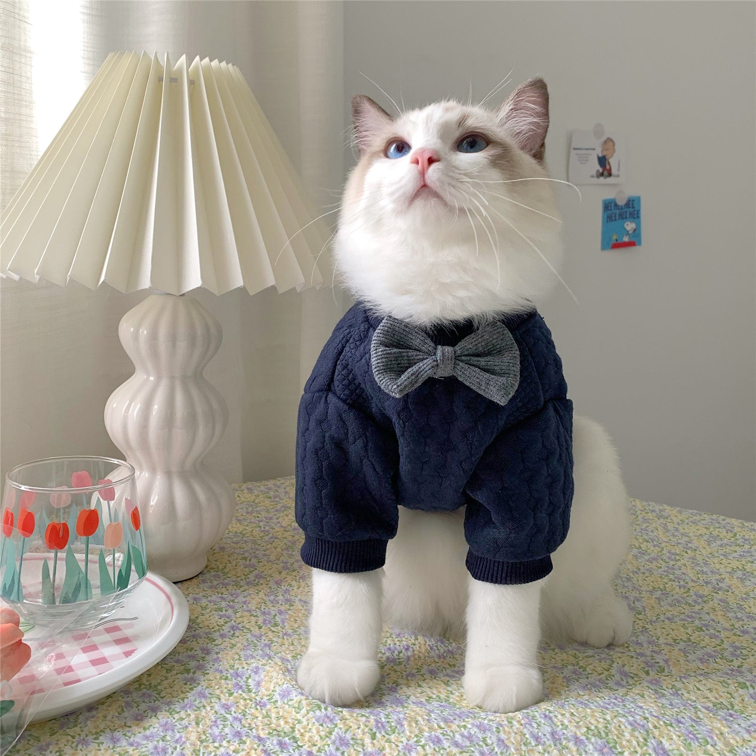 Elegant VIntage Pet Bow Sweater - Cocoa Paws Collective