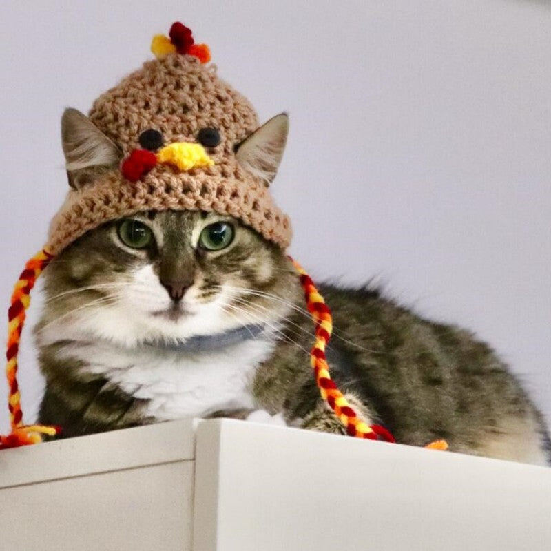 Halloween Cat Dog Knitted Pet Hat - Cocoa Paws Collective