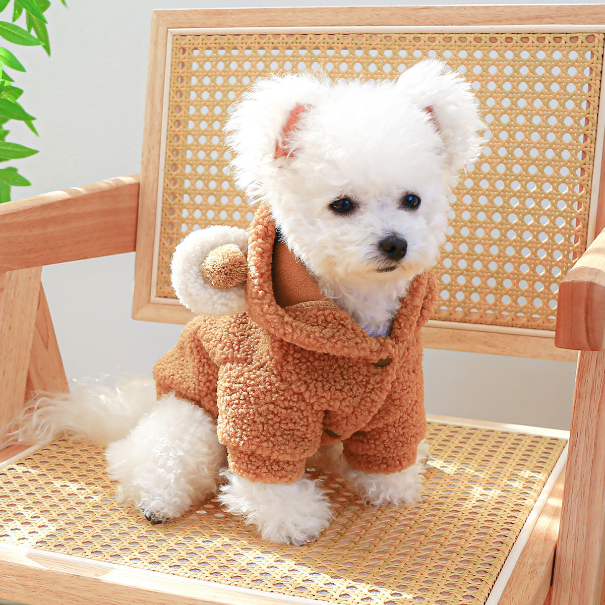 Pet Comfortable Lambswool Round Bear Hoodie - Cocoa Paws Collective