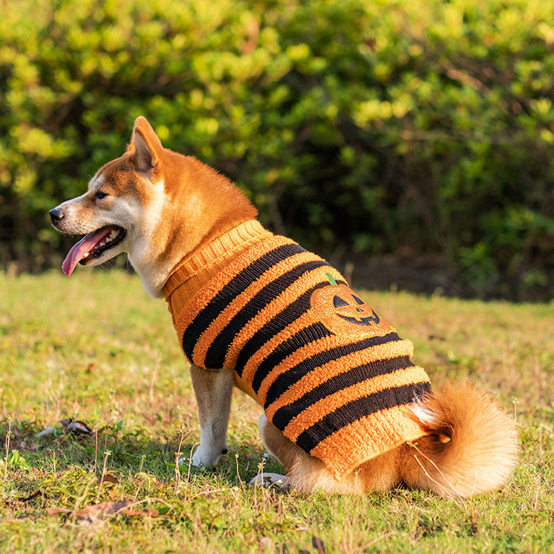 Pet Dog Halloween Cosplay Warm Sweater - Cocoa Paws Collective