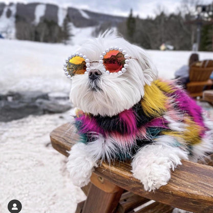 Pet Cute Pearl Sunglasses - Cocoa Paws Collective