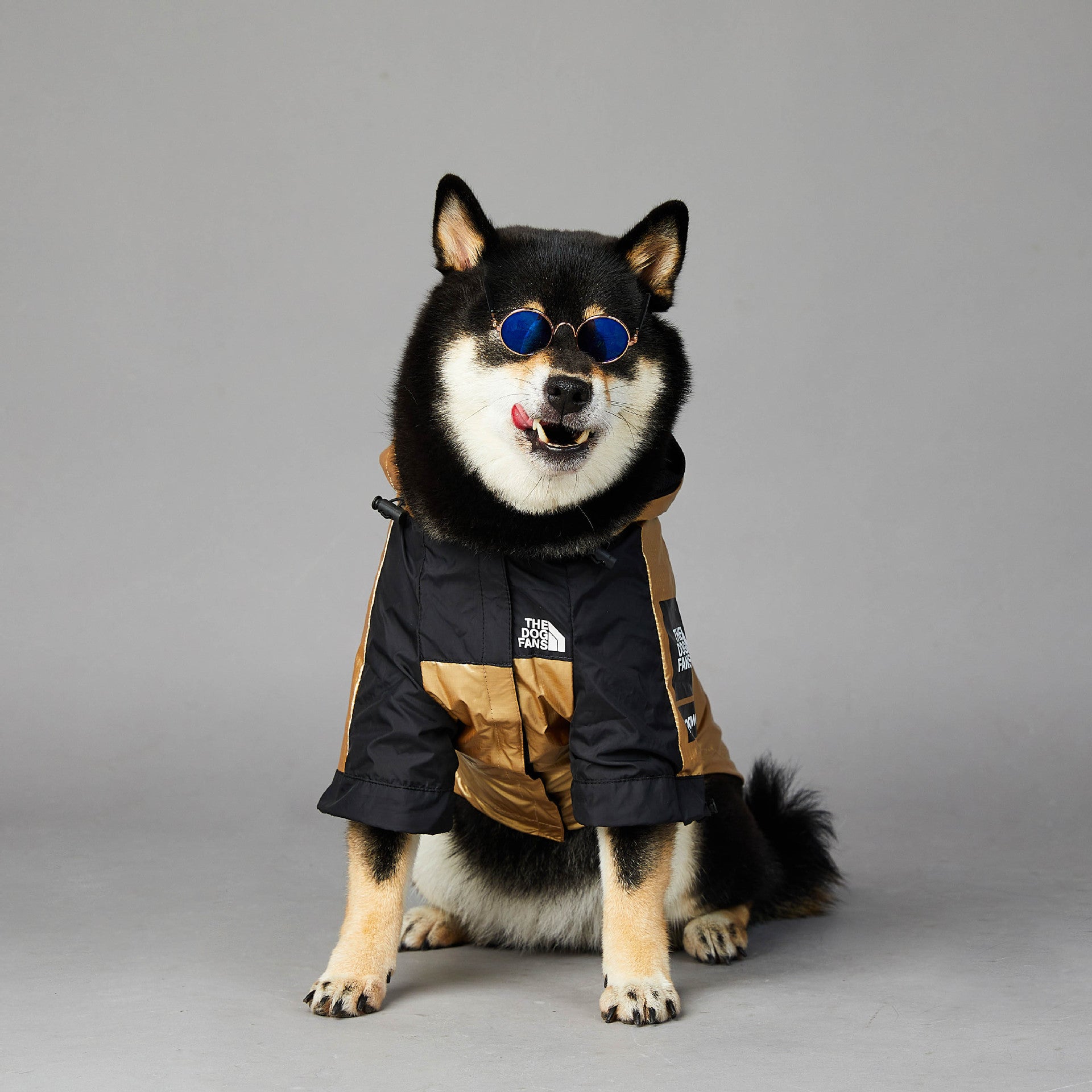 Pet Dog Large Raincoat Jacket - Cocoa Paws Collective