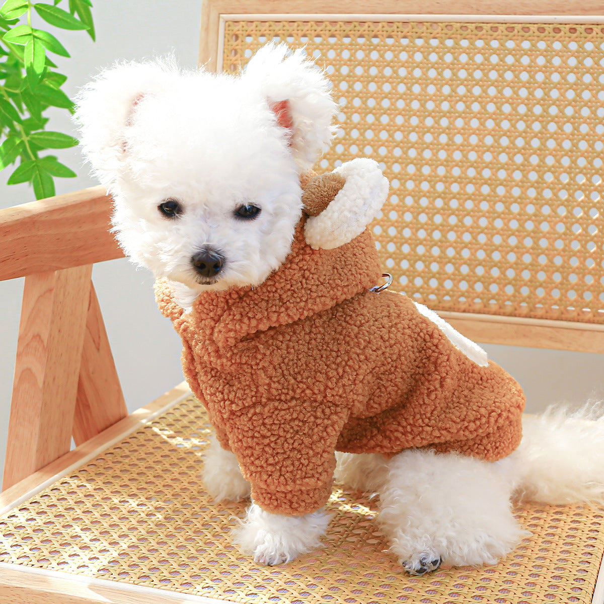 Pet Comfortable Lambswool Round Bear Hoodie - Cocoa Paws Collective