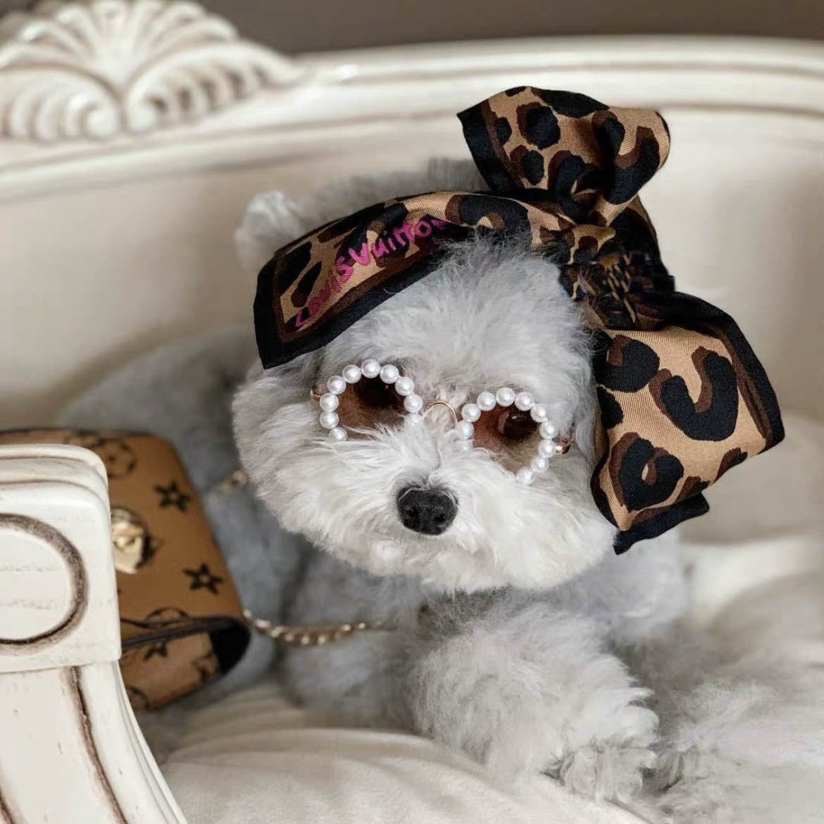 Pet Cute Pearl Sunglasses - Cocoa Paws Collective