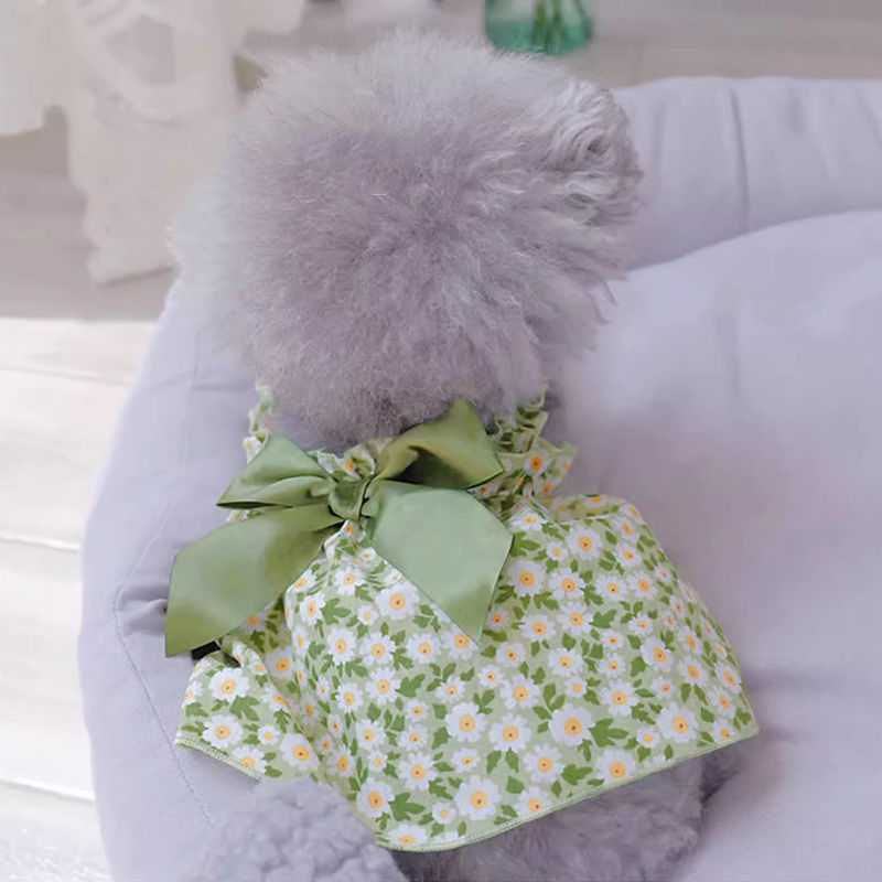 Pet Fashion Spring Floral Mini Frock - Cocoa Paws Collective