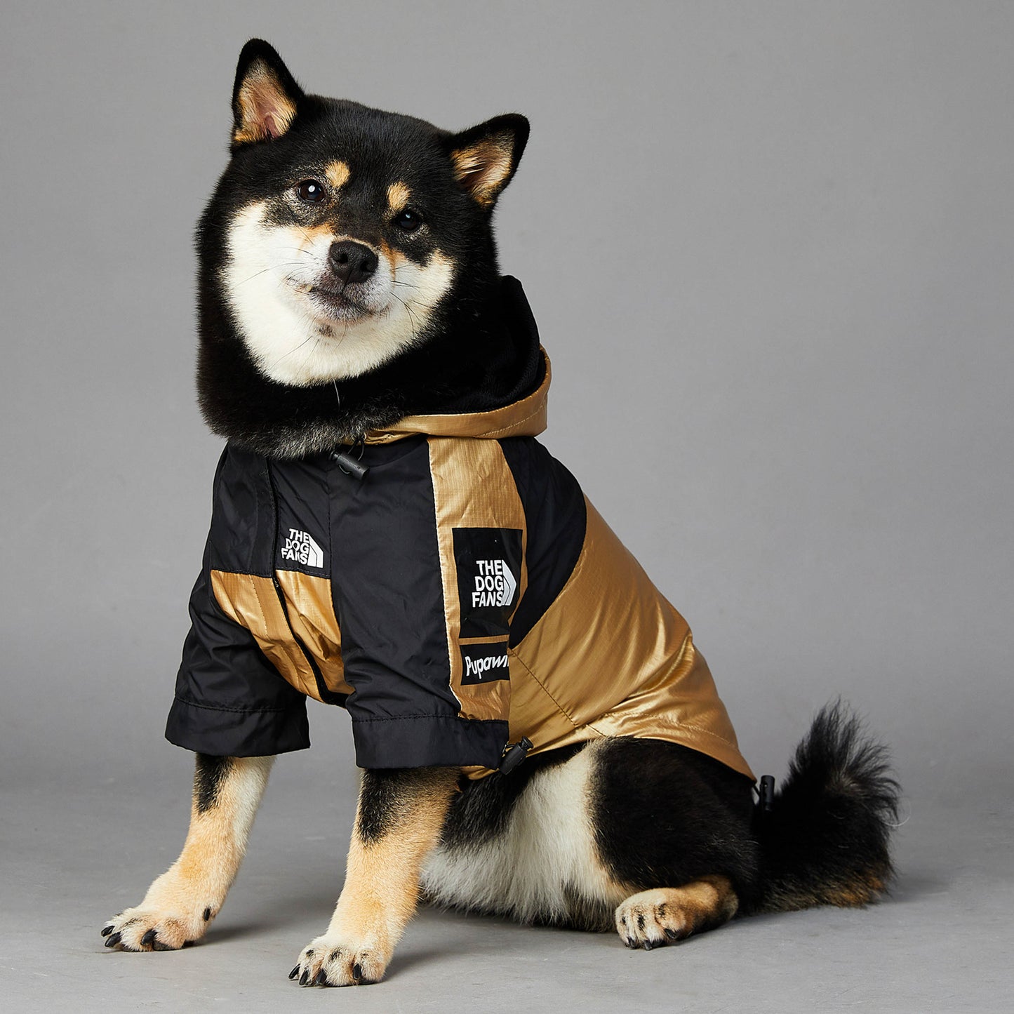 Pet Dog Large Raincoat Jacket - Cocoa Paws Collective