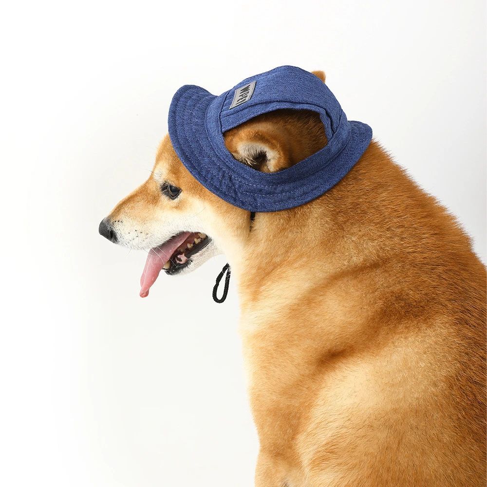 dd0bff735aca5ae47e1ce2a4cbaab03e