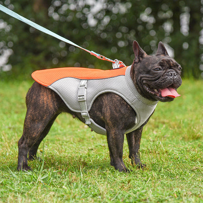 Summer Pet Outdoor Breathable Cooling Vest - Cocoa Paws Collective